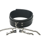 Coveted Collar and Clamp Union