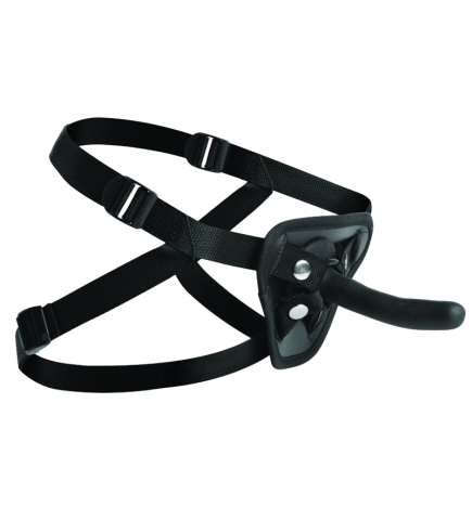Pegged - Pegging Dildo With Harness