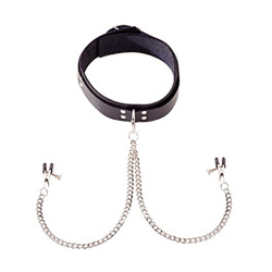 Coveted Collar and Clamp Union