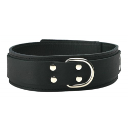 Strict Leather  Standard Leather Lined Collar