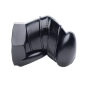 Detained Black Restrictive Chastity Cage