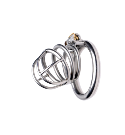 The Pen Deluxe Stainless Steel Locking Chastity Cage