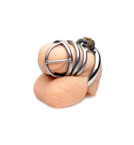 The Pen Deluxe Stainless Steel Locking Chastity Cage