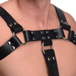 English Bull Dog Harness with Cock Strap