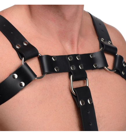English Bull Dog Harness with Cock Strap