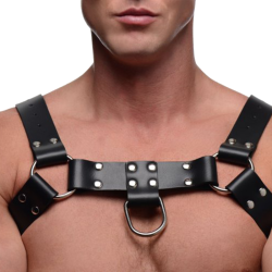 English Bull Dog Harness with Cock Strap