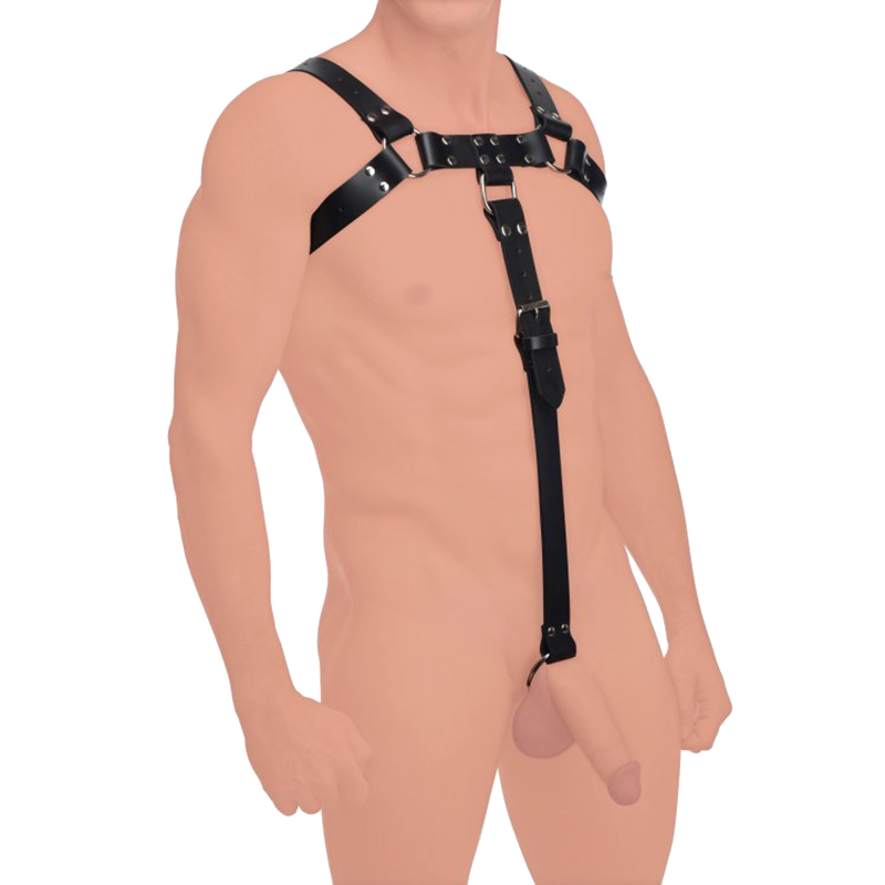 English Bull Dog Harness with Cock Strap English Bull Dog Harness with Cock Strap
