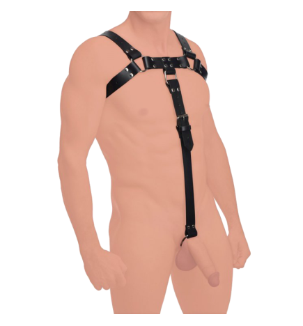 English Bull Dog Harness with Cock Strap