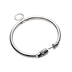 Stainless Steel Combination Lock Slave Collar