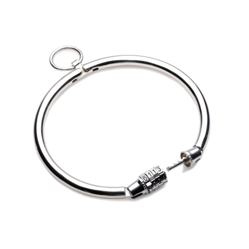 Stainless Steel Combination Lock Slave Collar