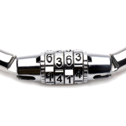 Stainless Steel Combination Lock Slave Collar