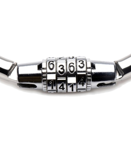Stainless Steel Combination Lock Slave Collar