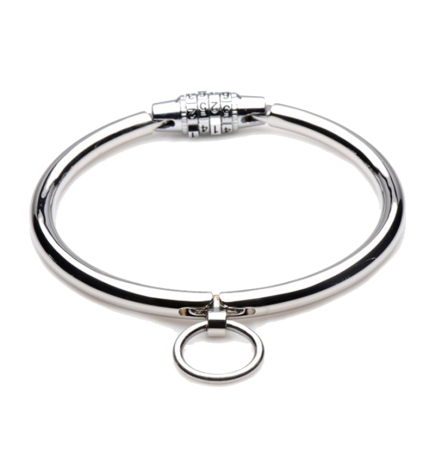 Stainless Steel Combination Lock Slave Collar