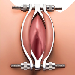 Stainless Steel Adjustable Pussy Clamp