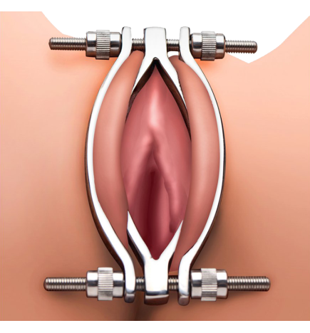 Stainless Steel Adjustable Pussy Clamp