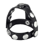 Strict Leather Snap-On Cock & Ball Harness