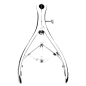 Isabellas Stainless Steel Anal Speculum