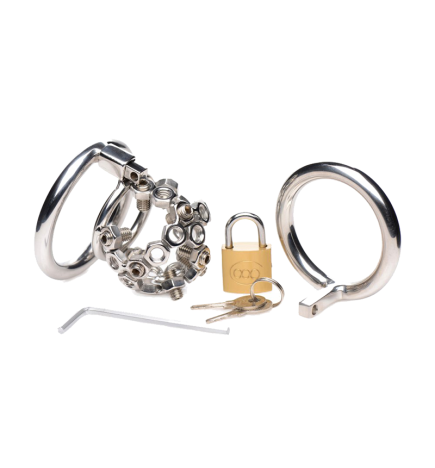 Bolted Chastity Cage with Spikes