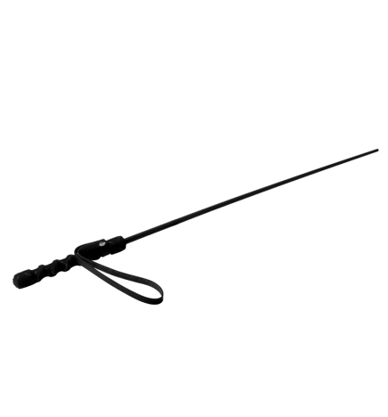 Intense Impact Cane