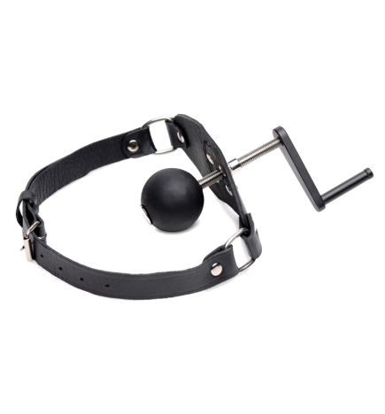 Crank Ball Gag