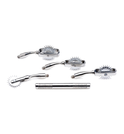 Deluxe Wartenberg Wheel Set with Travel Case