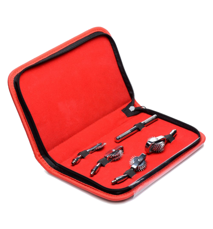Deluxe Wartenberg Wheel Set with Travel Case