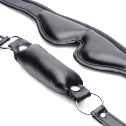 Padded Blindfold and Gag Set