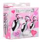 Pink Heart Anal Plug Set