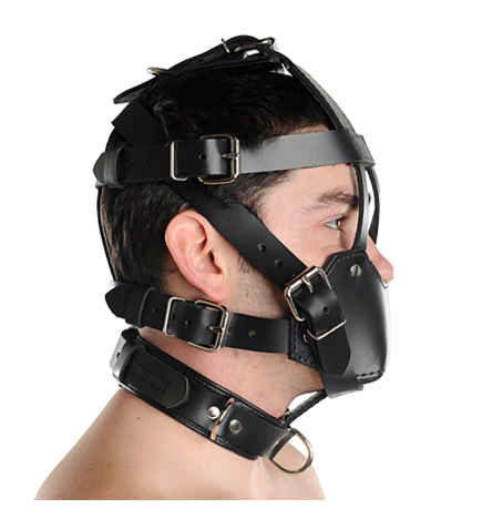 Strict Leather Padded Muzzle