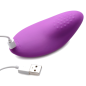 8X Remote Control Panty Vibe