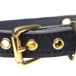Golden Kitty Cat Bell Collar