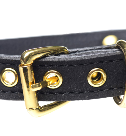 Golden Kitty Cat Bell Collar