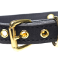 Golden Kitty Cat Bell Collar