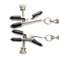 Titty Taunter Nipple Clamps with Weighted Bead
