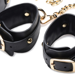 Gold Submission Bondage Kit