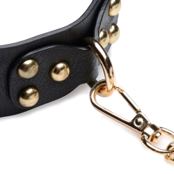Gold Submission Bondage Kit