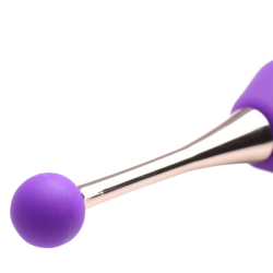 10X En Pointe Silicone Pinpoint Teaser with Attachments