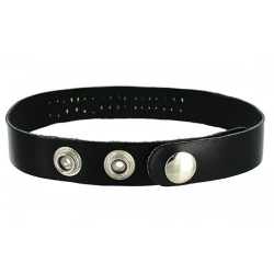 Leather ID Collars