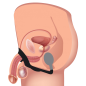 10X P-Bomb Silicone Cock & Ball Ring with Vibrating Anal Plug 10X P-Bomb Silicone Cock & Ball Ring with Vibrating Anal Plug