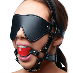 Blindfold Harness and Ball Gag