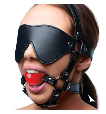 Blindfold Harness and Ball Gag