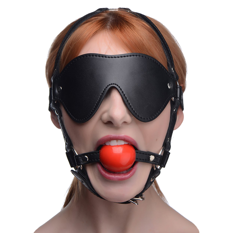 Blindfold Harness and Ball Gag