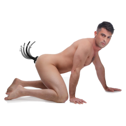 Remote Control Wagging and Vibrating Puppy Tail Anal Plug