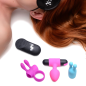 Bang Me Remote Control Birthday Sex Kit