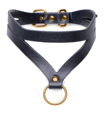 Black and Gold Collar with Leash Kit