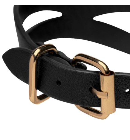 Black and Gold Collar with Leash Kit