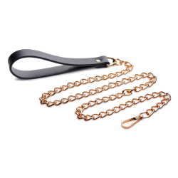 Black and Gold Collar with Leash Kit