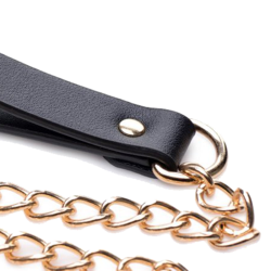 Black and Gold Collar with Leash Kit