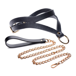 Black and Gold Collar with Leash Kit