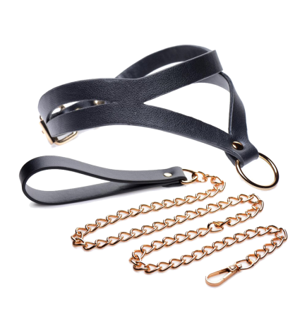 Black and Gold Collar with Leash Kit